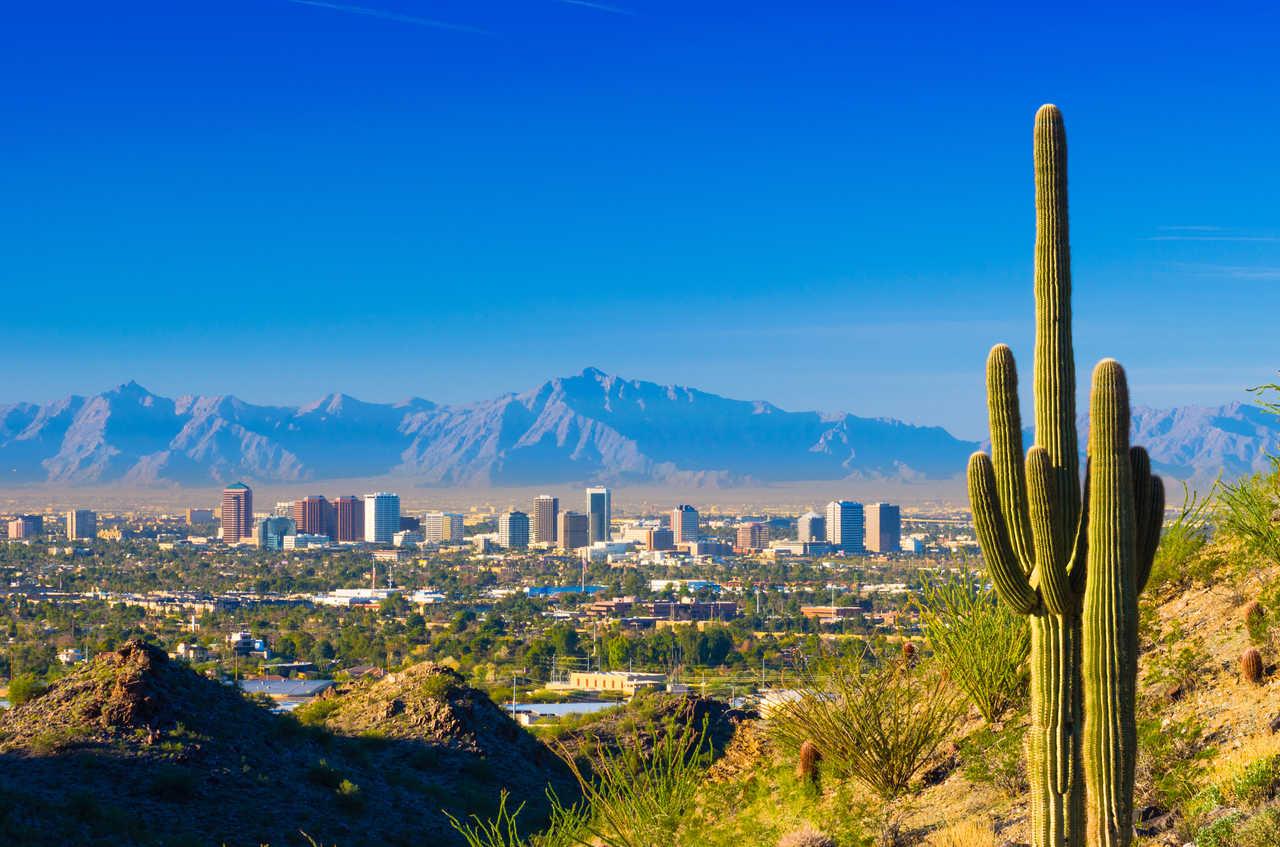 Cambria Hotel Phoenix - North Scottsdale Buitenkant foto