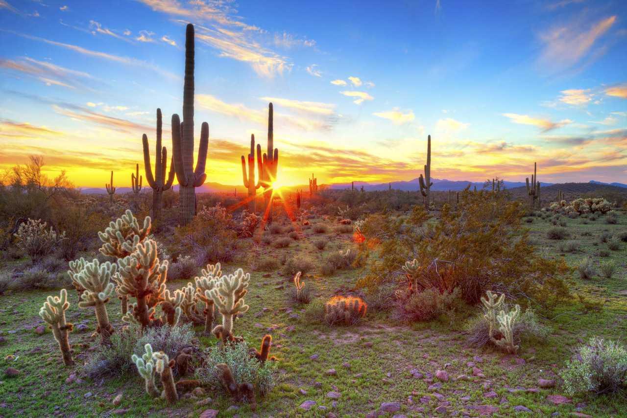 Cambria Hotel Phoenix - North Scottsdale Buitenkant foto