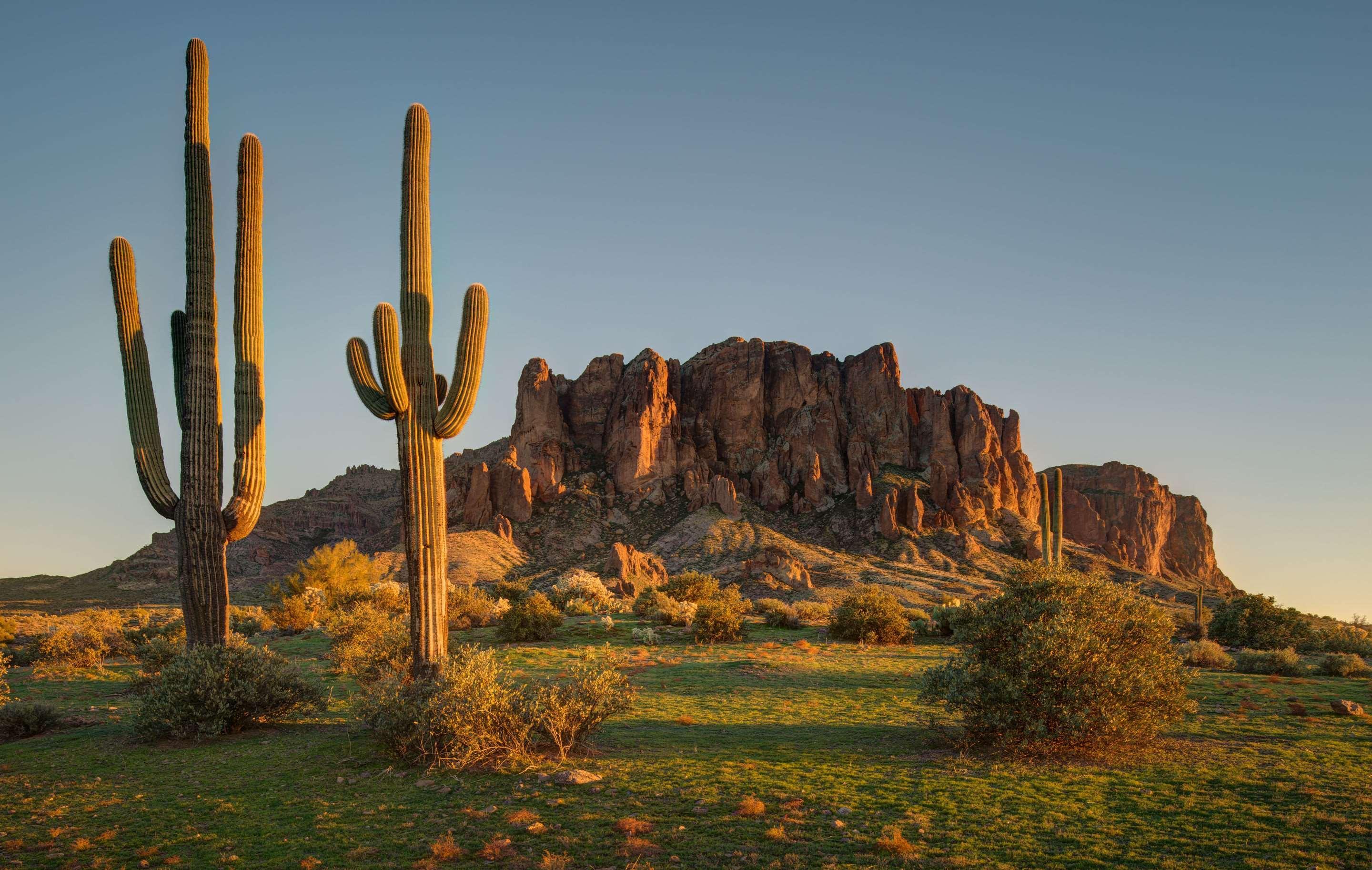 Cambria Hotel Phoenix - North Scottsdale Buitenkant foto